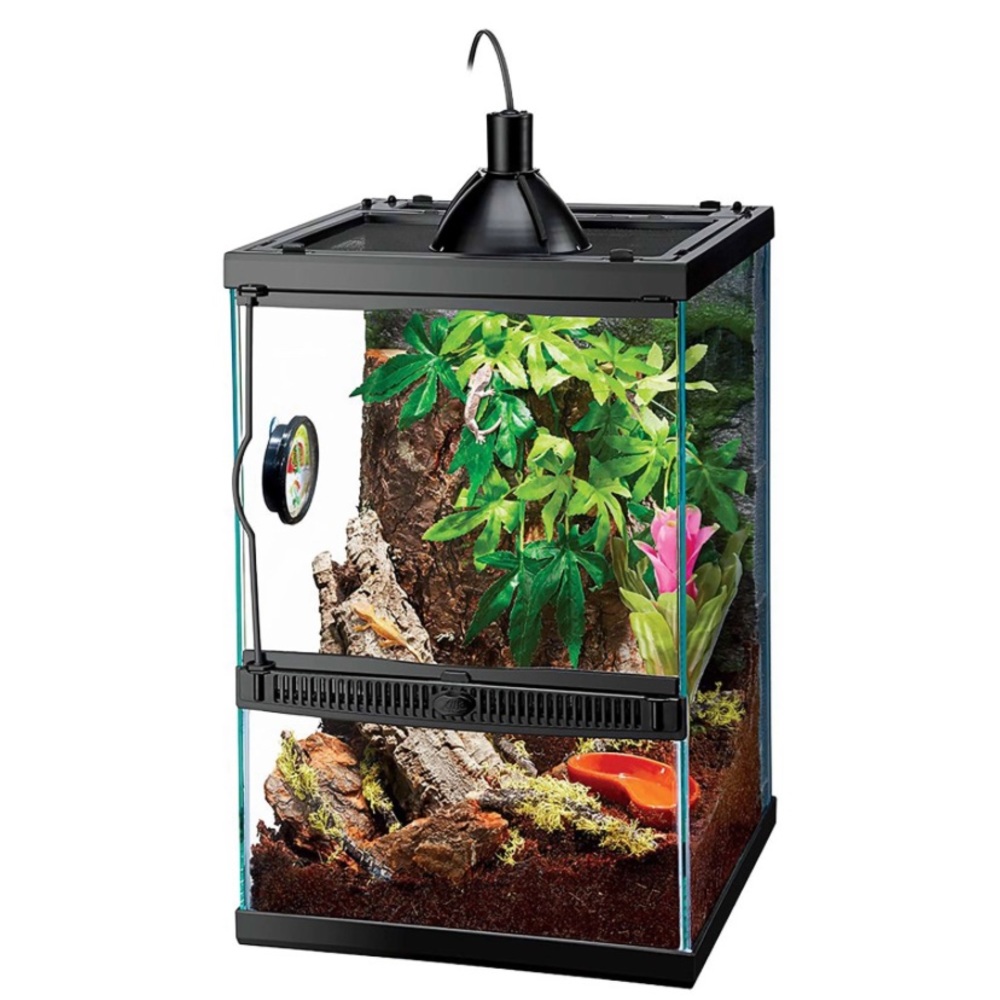 Gecko Terrarium